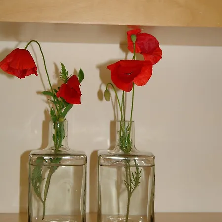 Bay Elegant By Hotelius Барбати